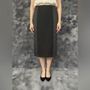 Charles Chang-Lima Women’s Black Panel Pencil Skirt Size 6 Rayon Blend